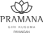 Pramana Experiences