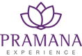 Pramana Experience