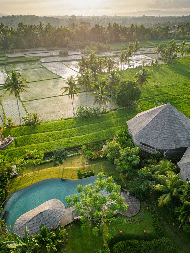 3 Days 2 Nights Package - thewakanda Ubud