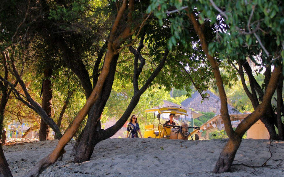 Gili Trawangan - Horse Riding